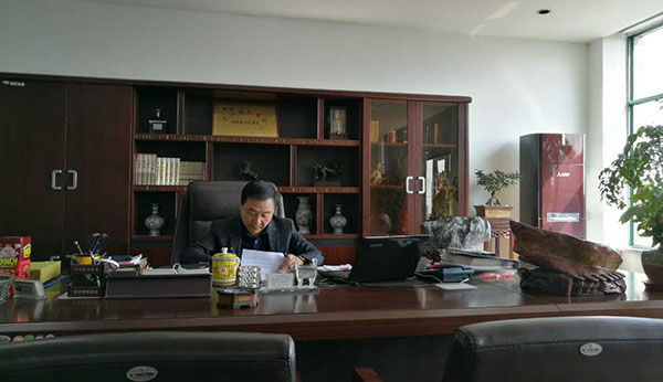 Company profile